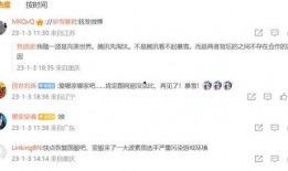 暴雪舅舅爆料了吗视频播放,揭秘游戏行业幕后真相